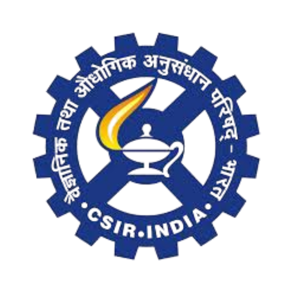 Channel Partner (31)